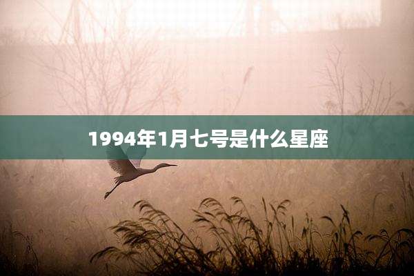 1994年1月七号是什么星座