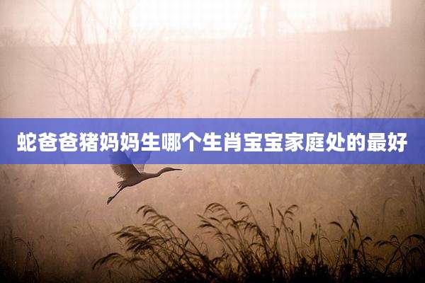 蛇爸爸猪妈妈生哪个生肖宝宝家庭处的最好
