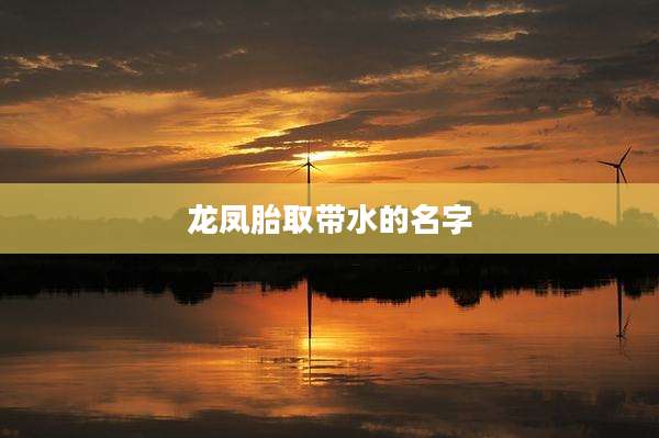 龙凤胎取带水的名字