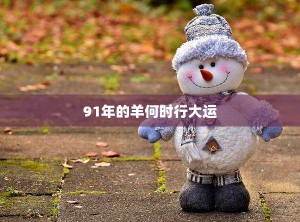 91年的羊何时行大运