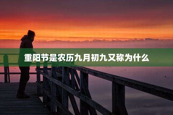 重阳节是农历九月初九又称为什么