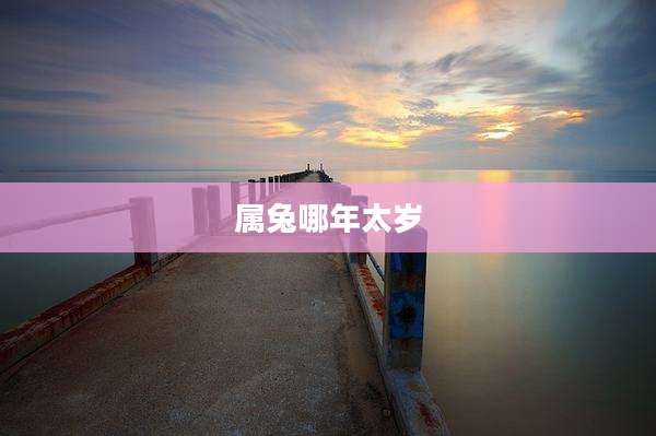 属兔哪年太岁