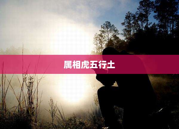 属相虎五行土