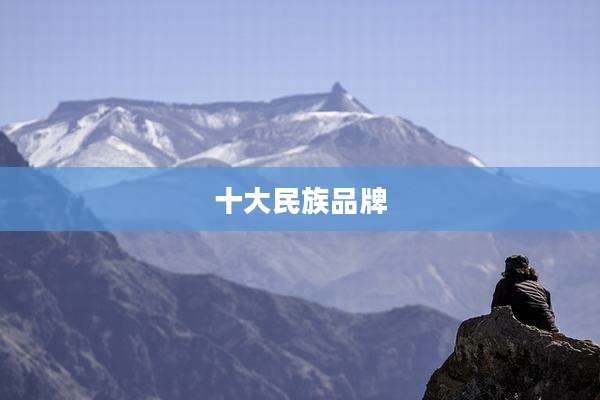十大民族品牌