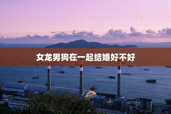 女龙男狗在一起结婚好不好