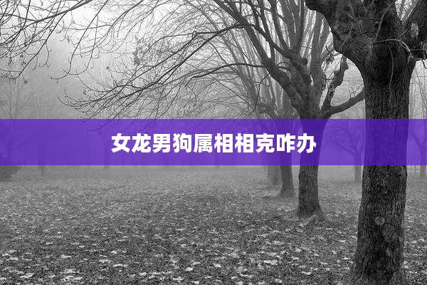 女龙男狗属相相克咋办
