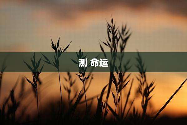 测 命运