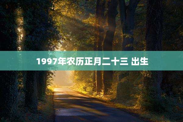 1997年农历正月二十三 出生