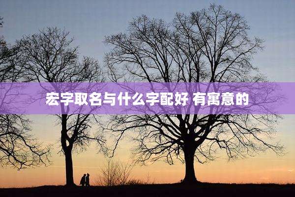 宏字取名与什么字配好 有寓意的