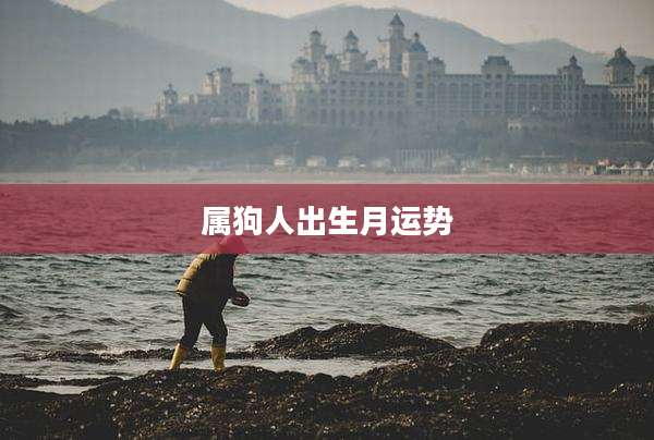 属狗人出生月运势
