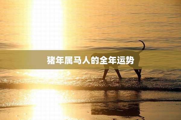 猪年属马人的全年运势