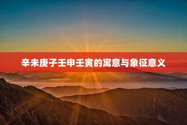辛未庚子壬申壬寅的寓意与象征意义