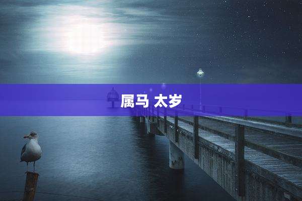 属马 太岁