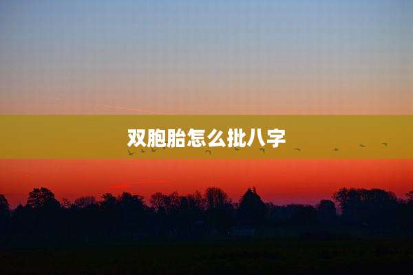 双胞胎怎么批八字