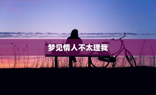 梦见情人不太理我