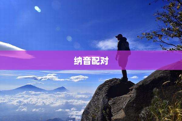 纳音配对