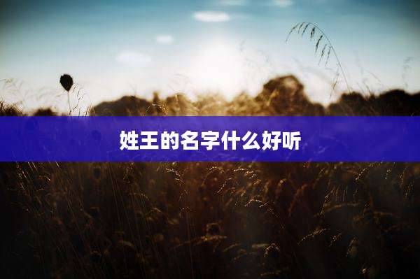 姓王的名字什么好听