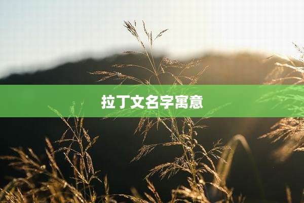 拉丁文名字寓意
