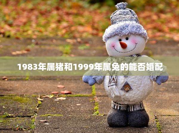 1983年属猪和1999年属兔的能否婚配