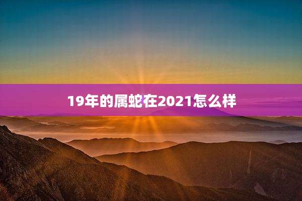 19年的属蛇在2021怎么样