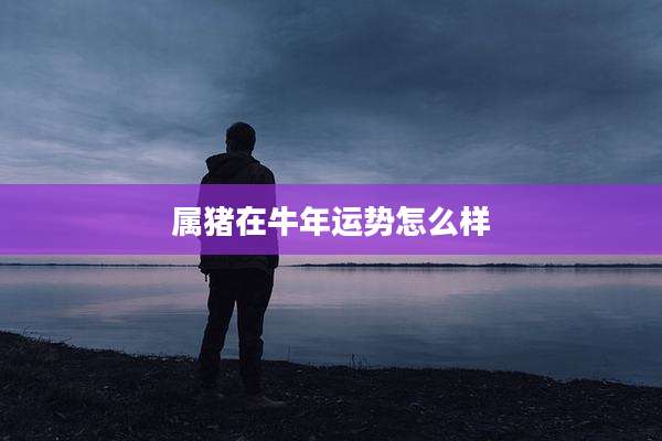 属猪在牛年运势怎么样