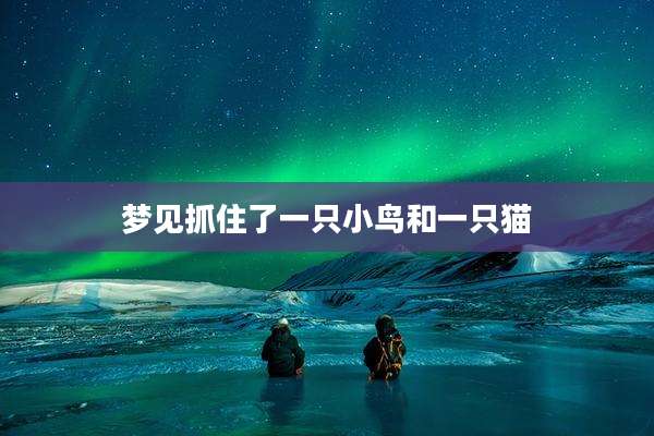 梦见抓住了一只小鸟和一只猫