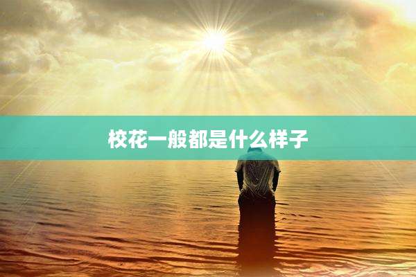 校花一般都是什么样子