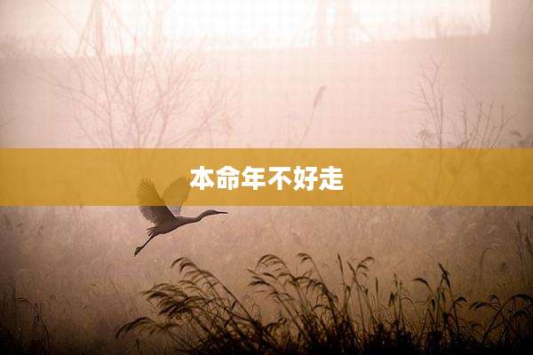 本命年不好走