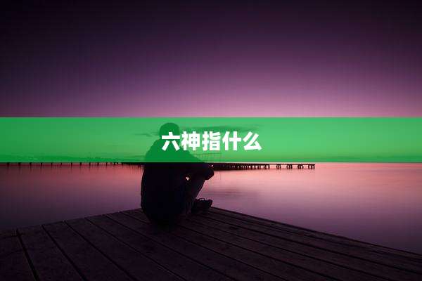 六神指什么