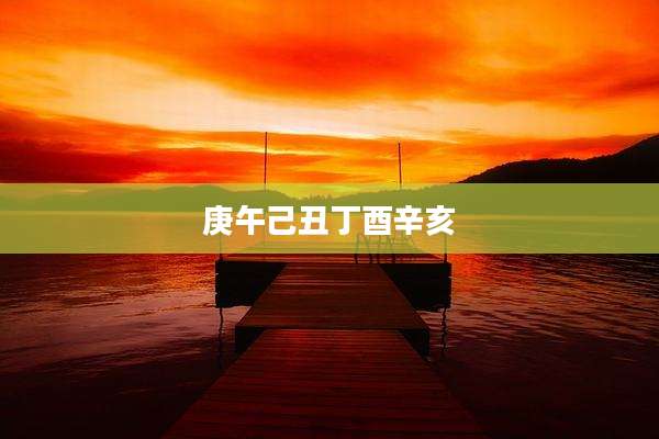 庚午己丑丁酉辛亥
