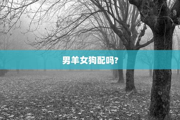 男羊女狗配吗?