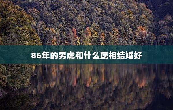 86年的男虎和什么属相结婚好