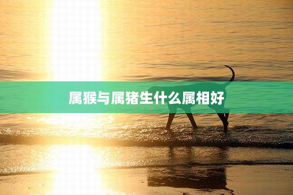 属猴与属猪生什么属相好