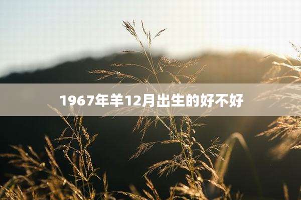 1967年羊12月出生的好不好