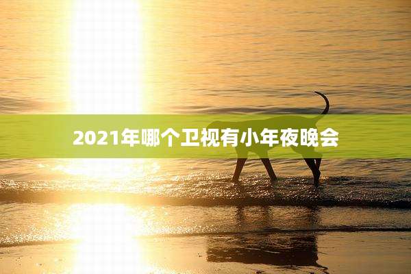 2021年哪个卫视有小年夜晚会