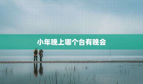 小年晚上哪个台有晚会