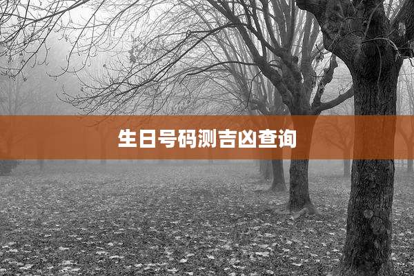 生日号码测吉凶查询