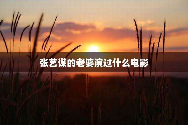 张艺谋的老婆演过什么电影