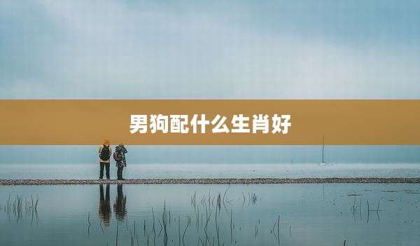 男狗配什么生肖好