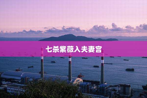 七杀紫薇入夫妻宫