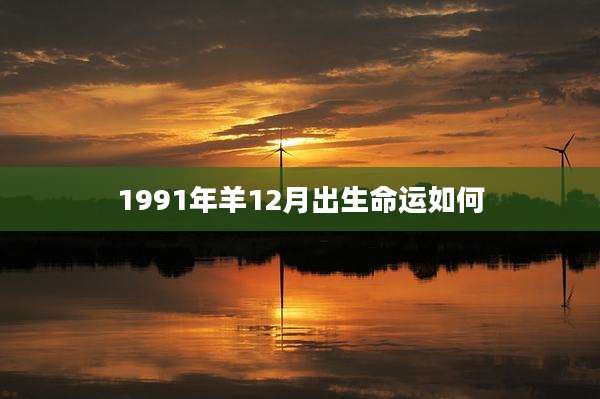 1991年羊12月出生命运如何