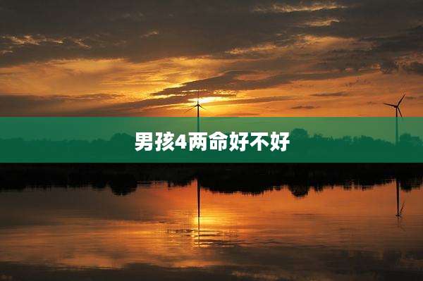男孩4两命好不好