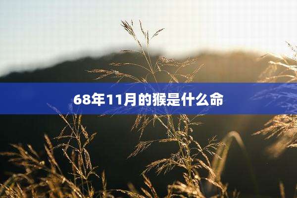 68年11月的猴是什么命