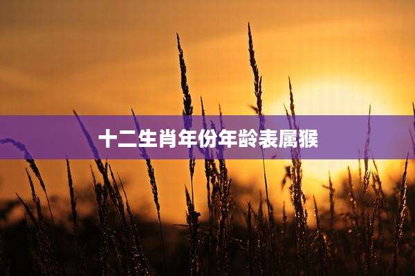 十二生肖年份年龄表属猴