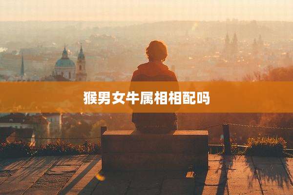猴男女牛属相相配吗