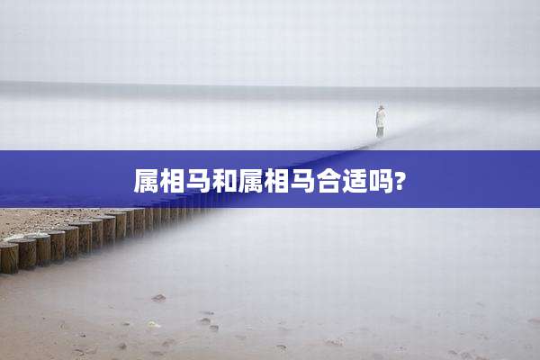 属相马和属相马合适吗?