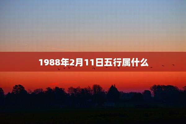 1988年2月11日五行属什么