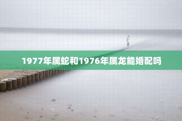 1977年属蛇和1976年属龙能婚配吗
