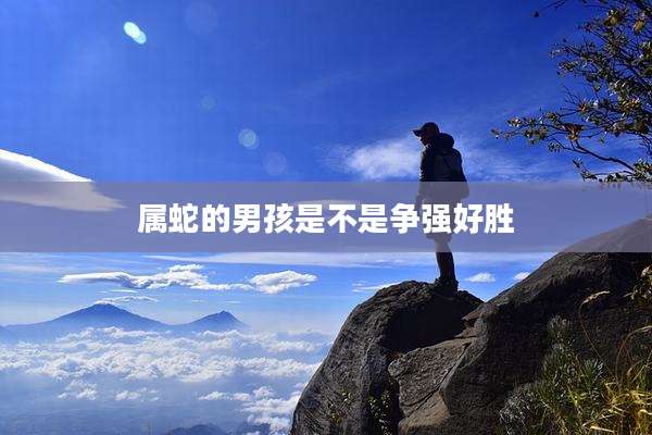 属蛇的男孩是不是争强好胜
