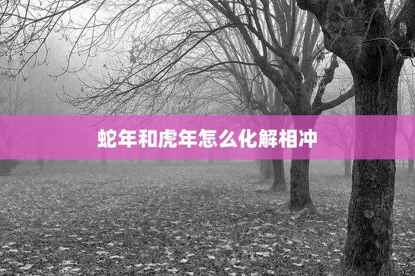 蛇年和虎年怎么化解相冲